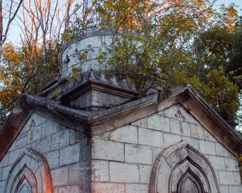 Фото отзыва 3: авторский тур "Кавказское изобилие: 4 региона и очень много гор!"