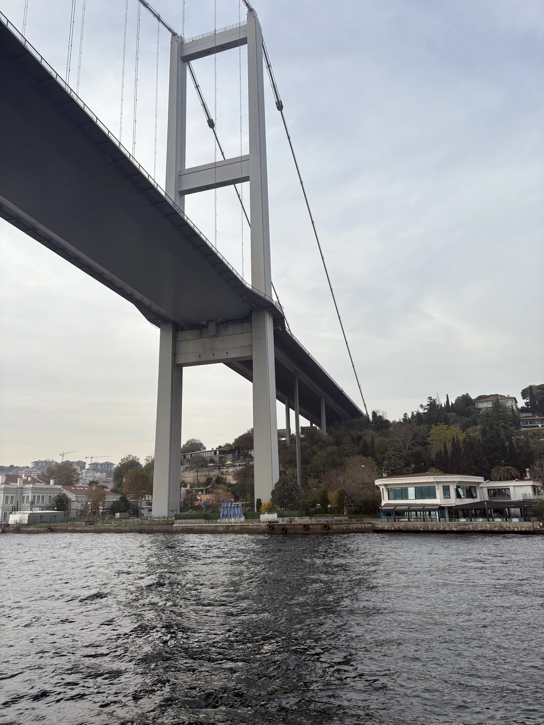 23 ноября посетили экскурсию «Знакомство со Стамбулом: Старый город+прогулка по Босфору» с Гюрканом