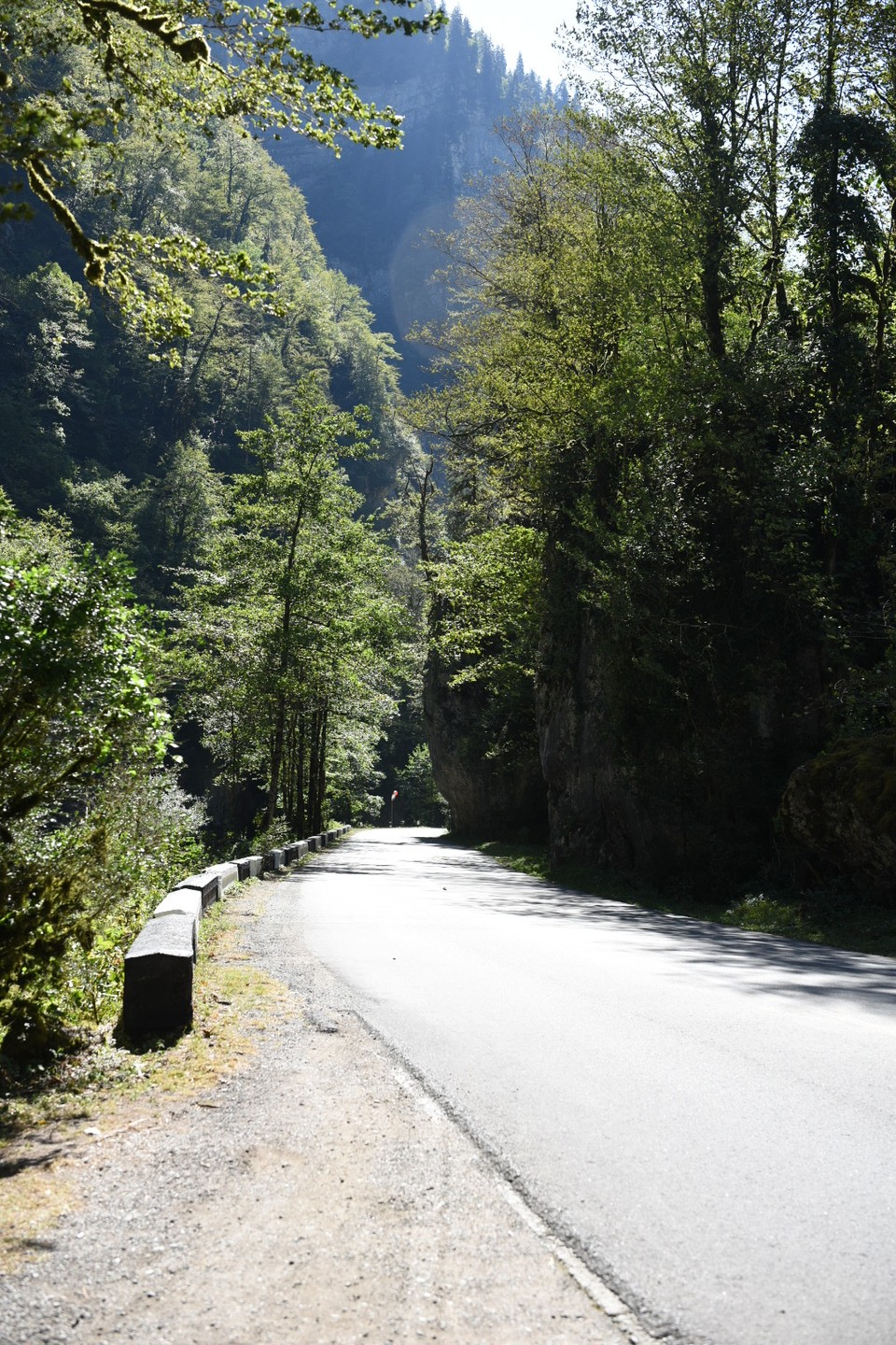 Путешествие на озеро Рица из Гагры (Виктория)