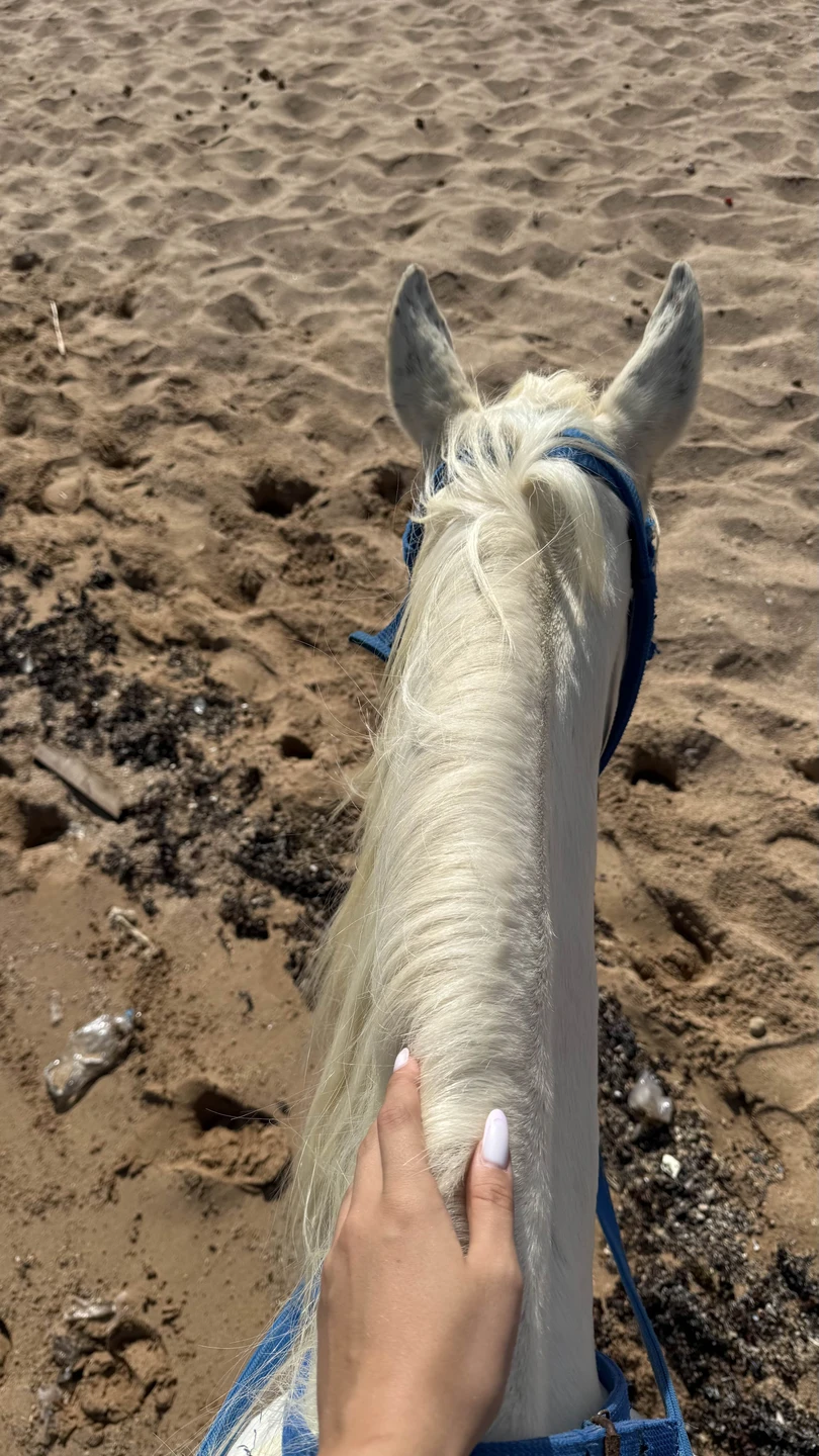 Это была лучшая экскурсия, которую мы брали в Хургаде!