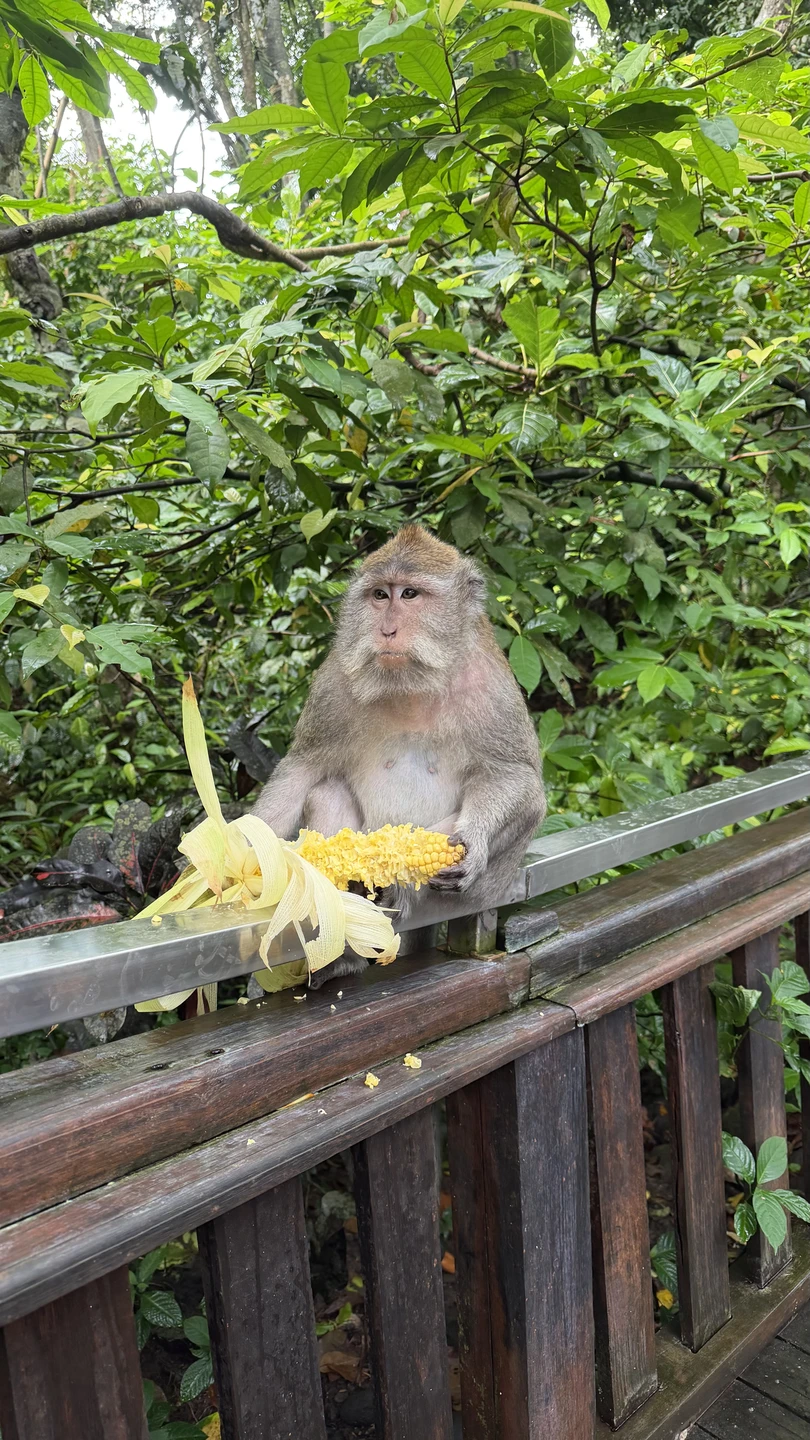 Бали, который вы ждёте (Юлия)