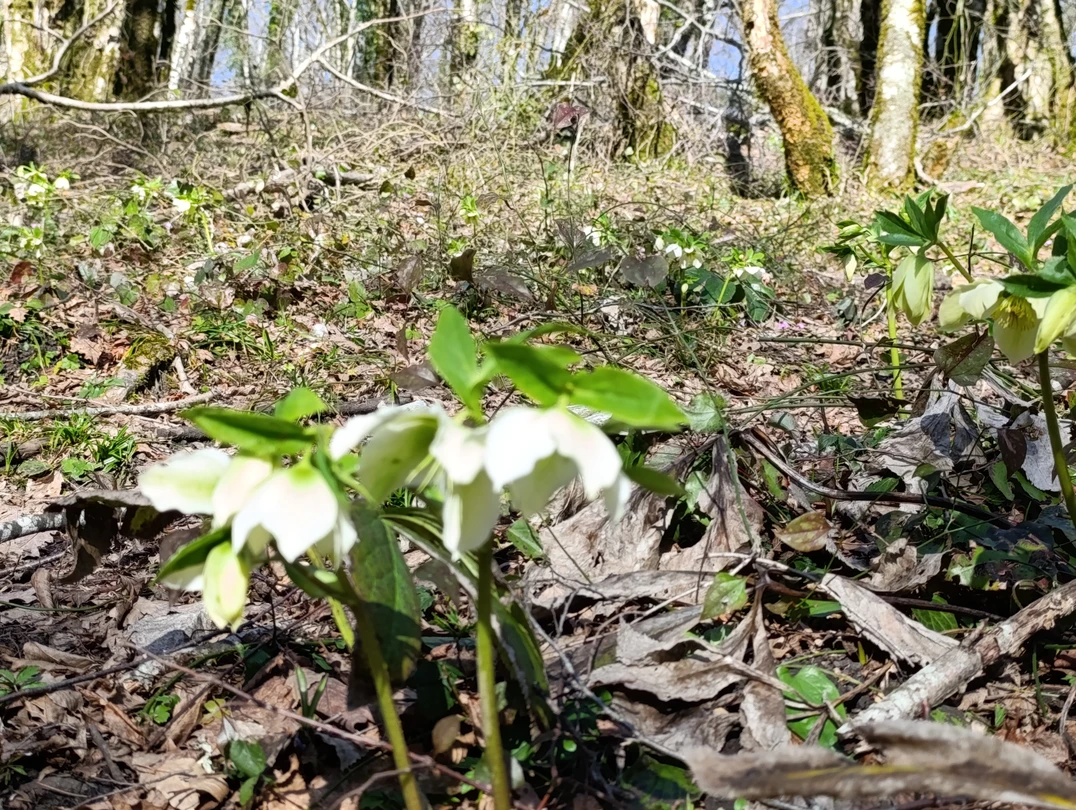 Этот день был просто потрясающим! Мы отправились в увлекательное путешествие по Сочи, которое стало настоящим приключением.