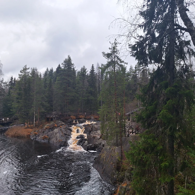 Хочу от лица всех членов семьи поблагодарить Евгения за интересную, увлекательную, доступную для всех возрастов в