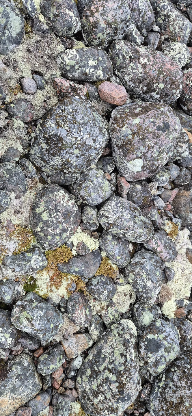 Экскурсия 06.11.2025 г. Гидом был Дмитрий. Всё очень понравилось. С погодой повезло, за исключением экстремальной дороги