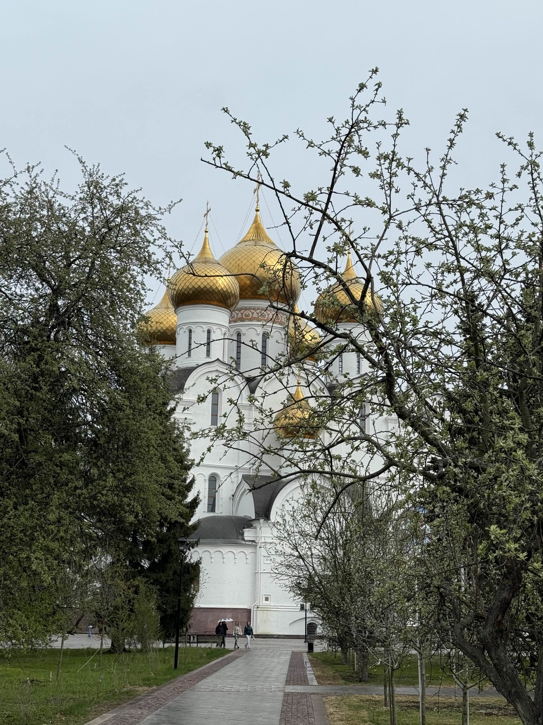 Спасибо за прекрасную экскурсию, впечатлился не только ребенок, но и мы с мужем))) Очень приятный формат