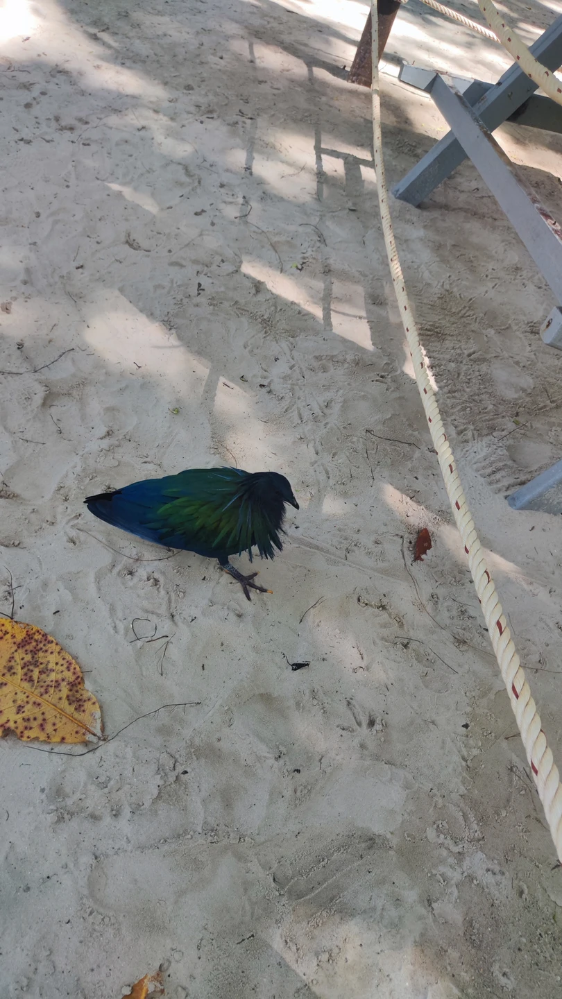 Отличная экскурсия! Острова просто невероятны, увидели всё, что хотели, и даже больше