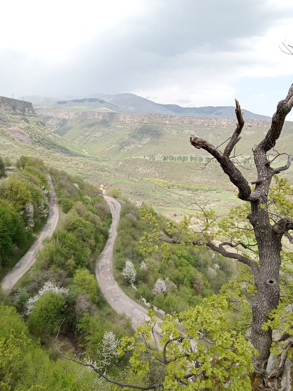 Фото Зелёный край Лори + дендропарк «Сочут»