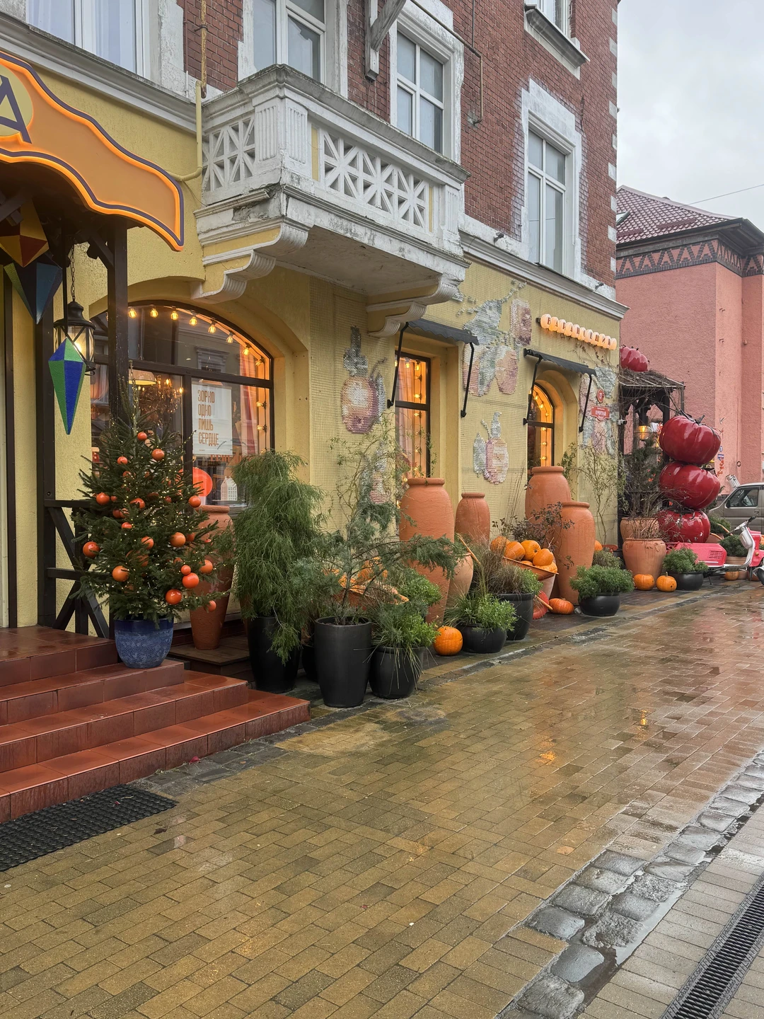 Мы провели чудесный день в Зеленоградске и Светлогорске в компании замечательного гида Елены. Это была по-настоящему