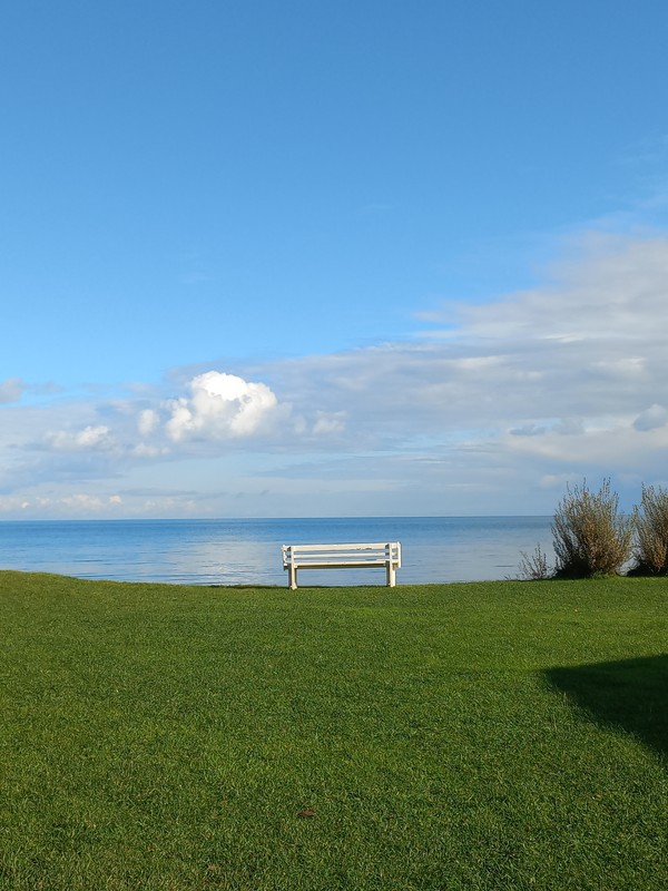 Куршская коса и уютный Зеленоградск - из Калининграда