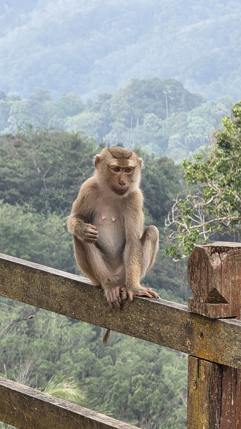 Сегодня состоялась наша экскурсия Пхукет для новичков. Участвовали семьёй в составе 4 человек, включая двоих детей
