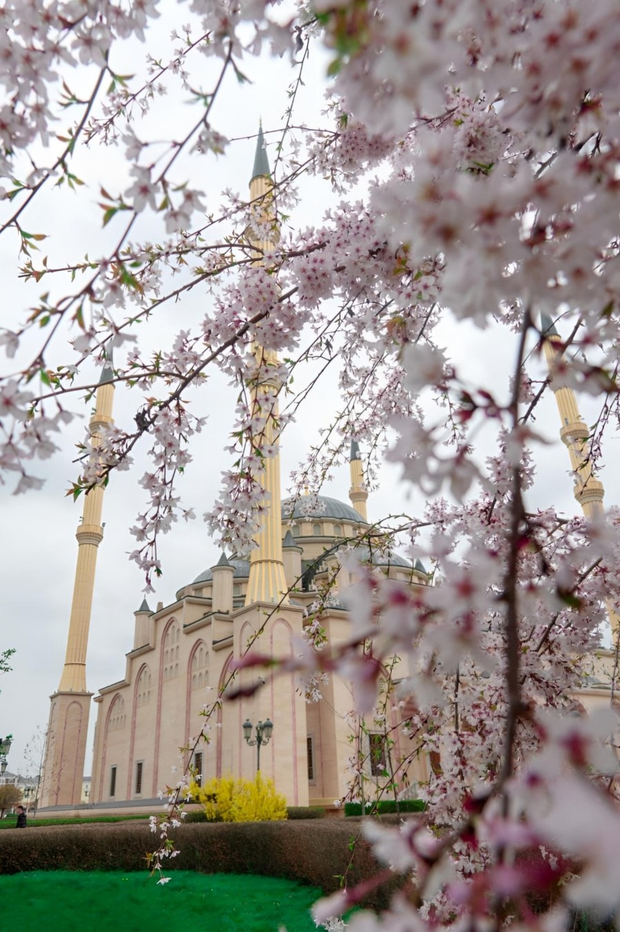 Главное изображение экскурсии - Экскурсия-фотосессия в Грозном