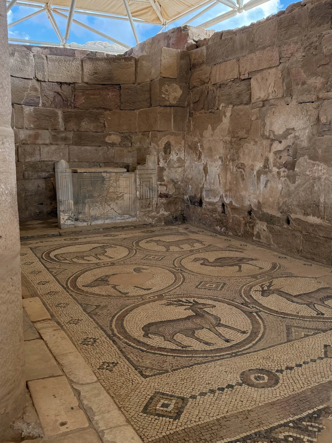 Поездка в Петру с гидом Саидом стала настоящим открытием! Великолепная организация, интересные рассказы и дружелюбная атмосфера