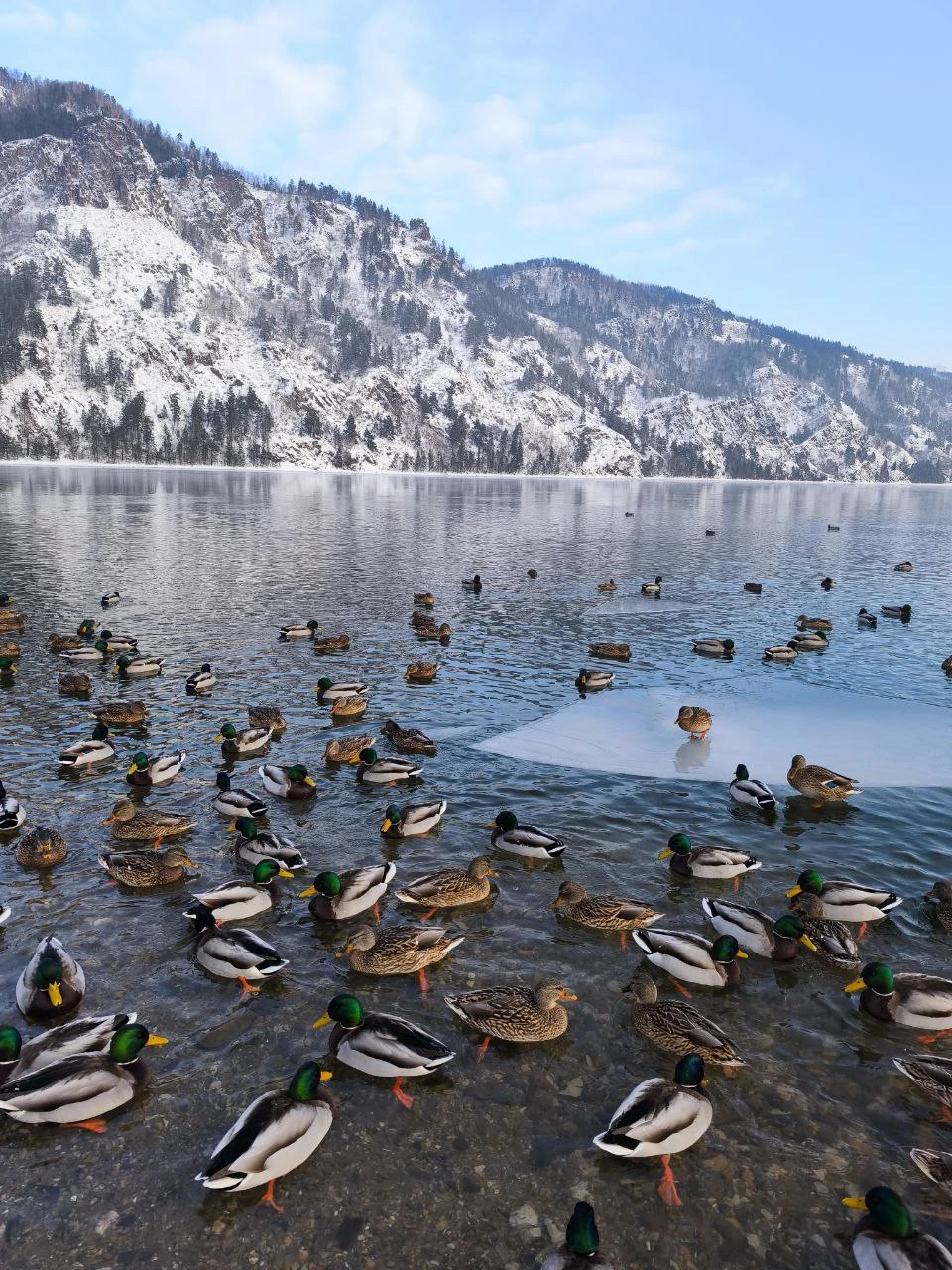 Отличная экскурсия, интересные точки для остановки и фото, включая несколько эксклюзивных. В программе небольшой, но очень