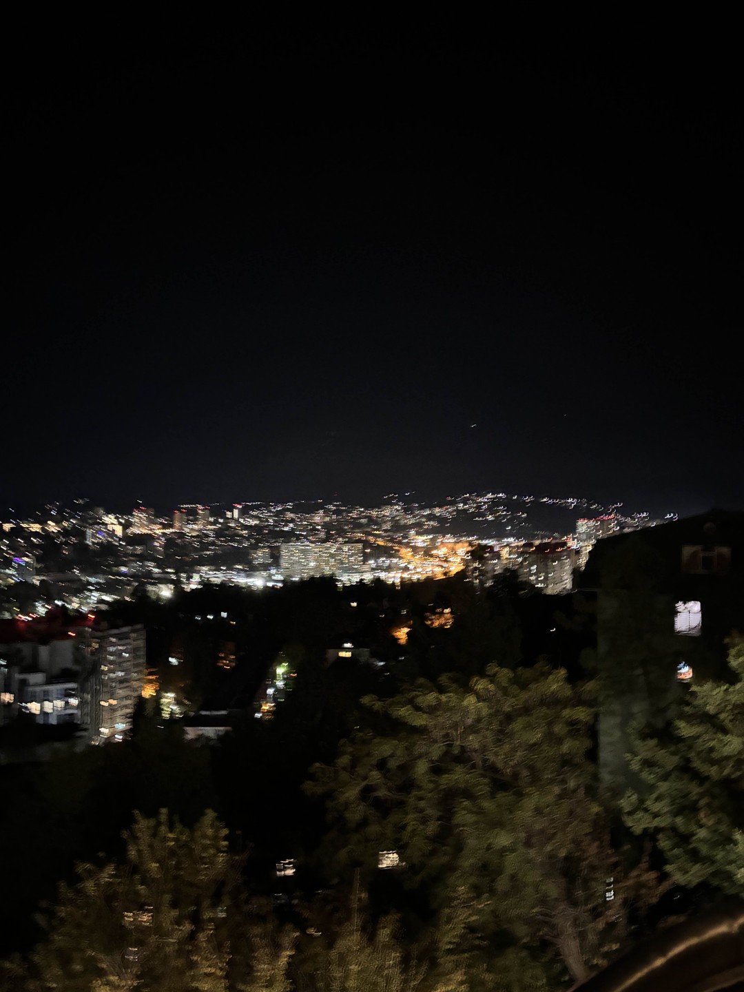 Вечерний Сочи (Елена)