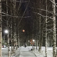 Фото отзыва 2: экскурсия "Удивительная и живописная Сортавала"