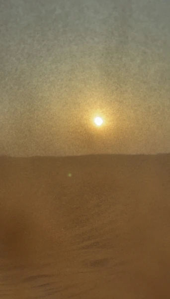 Экскурсия организована на высшем уровне