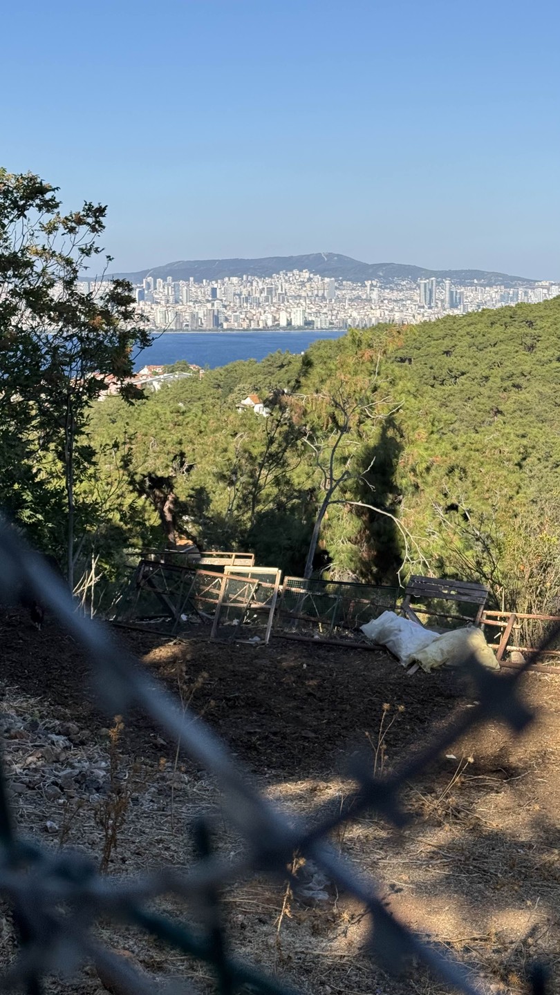 Из Стамбула - на Принцевы острова (Анджела)