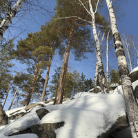 Фото отзыва 4: экскурсия "Джип-путешествие «Соколиный камень и Чертово городище»"