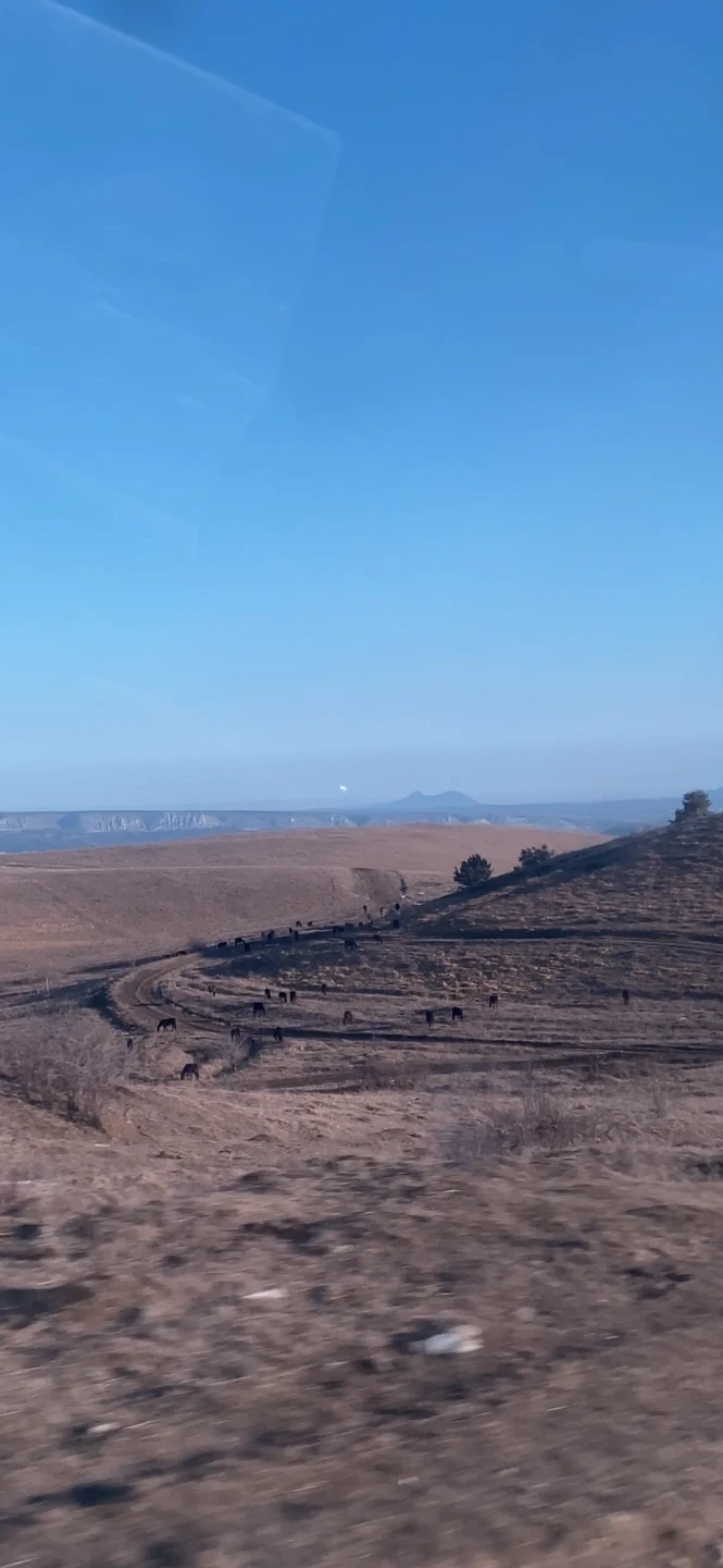 Очень повезло с погодой! Это, конечно, половина успеха. День прошёл незаметно в хорошей компании гида Марата,