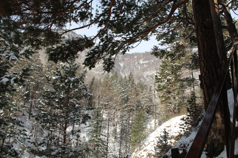 Анна отличный гид!!!! Было очень интересно и познавательно. Огромное спасибо команде за такую экскурсию!!! Приедем еще весной! Спасибо!)!)