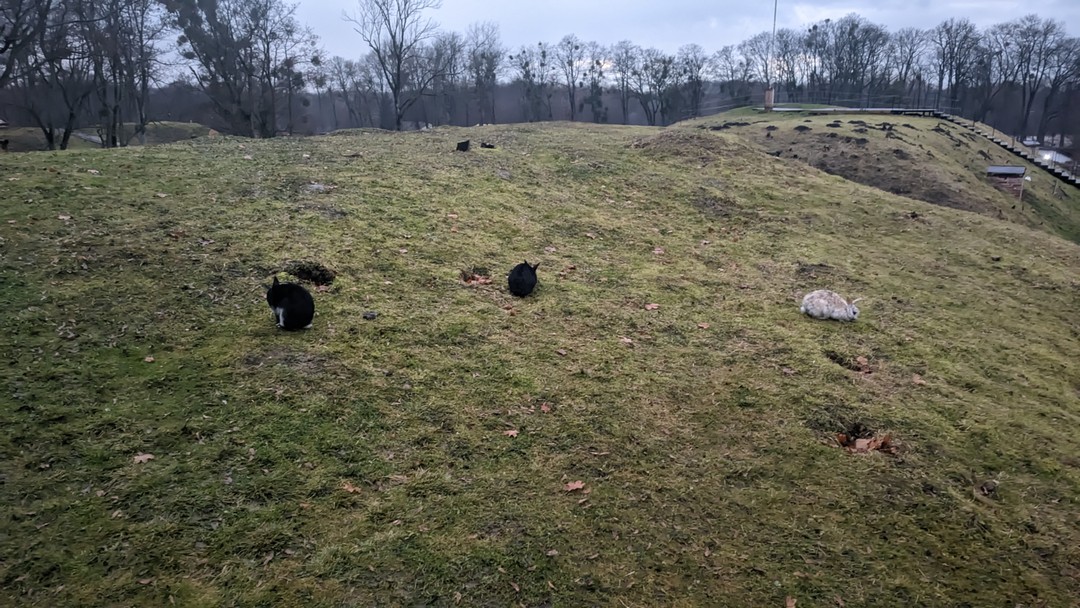 Очень понравилось