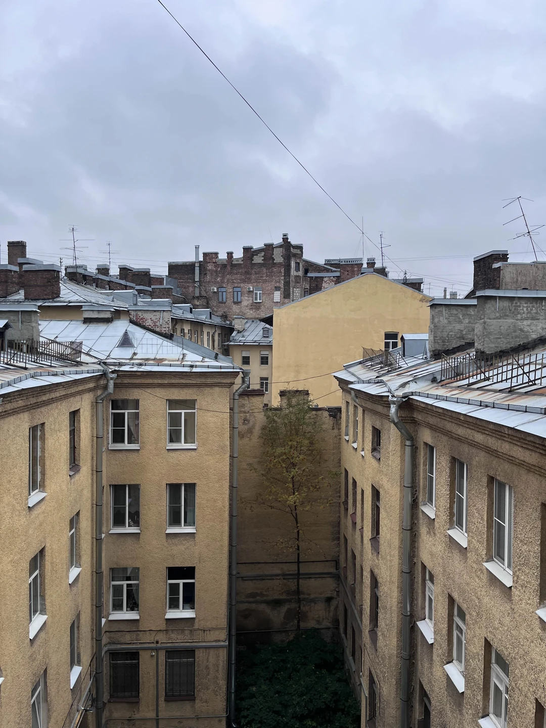 Тайны непарадного Петербурга (Ольга)