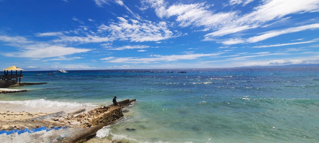 Замечательная экскурсия. Увидели всё то, что было запланировано. Плавание с китовыми акулами, это впечатление на всю