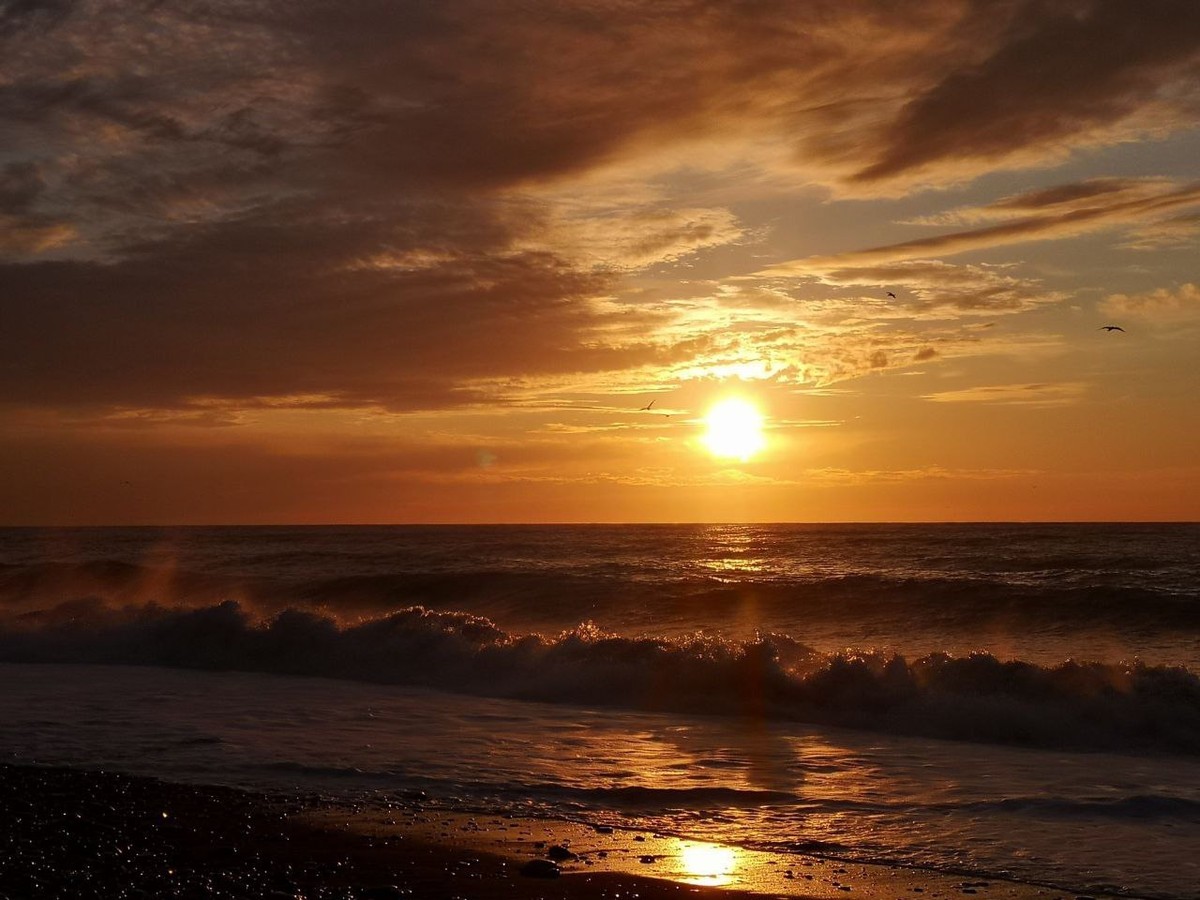 От Батуми до Сванетии: экскурсии, пляжный отдых, горы и фотосессия (3/7)