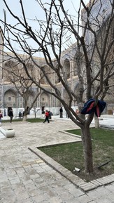 Фото отзыва 7: экскурсия ""