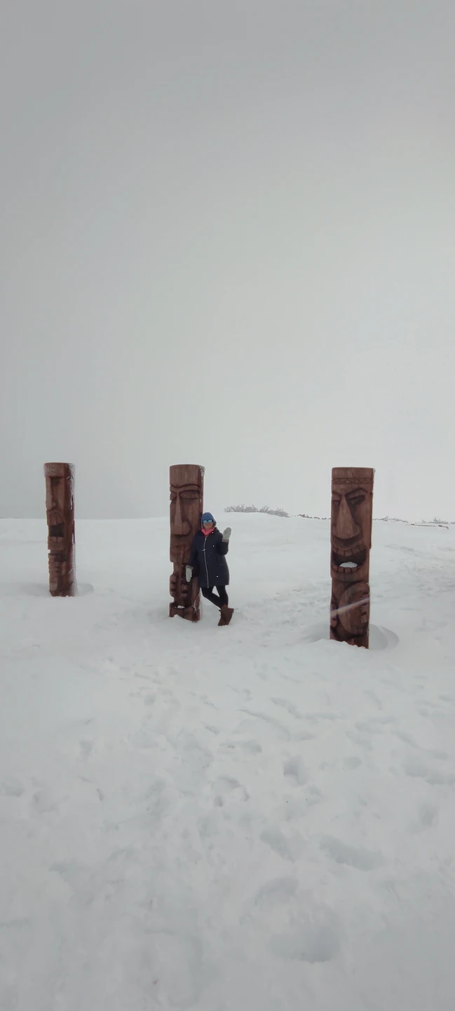 Попала на Камчатку впервые. И когда выбирала каким путем отдыхать самостоятельно или тур взять, в общем