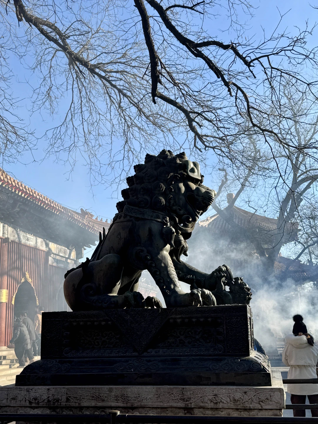 Великая Китайская стена и погружение в культуру Поднебесной (Ольга)