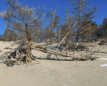 Ледяные торосы, пузырьки, бухта Песчаная и прибытие на Ольхон