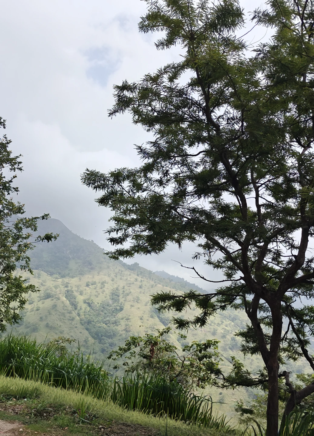 Задача была найти гида для путешествия в составе семьи из трёх человек на три дня. Гид