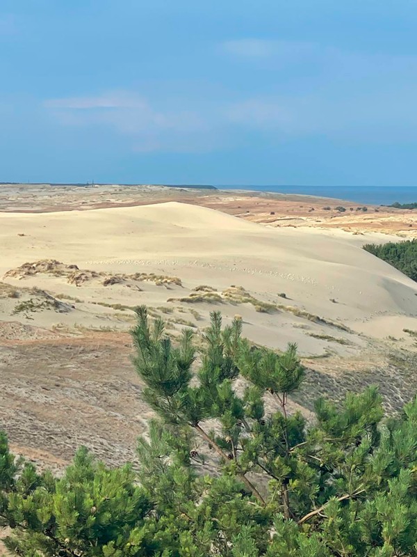 Загадочная Куршская коса с сертифицированным гидом