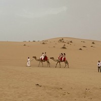 Отзыв о экскурсии "Сафари на джипах в Абу-Даби: песчаные дюны и арабский вечер" — фото 1