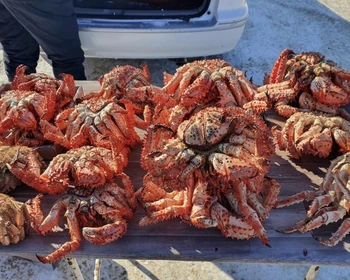 Подлёдная рыбалка или крабалка