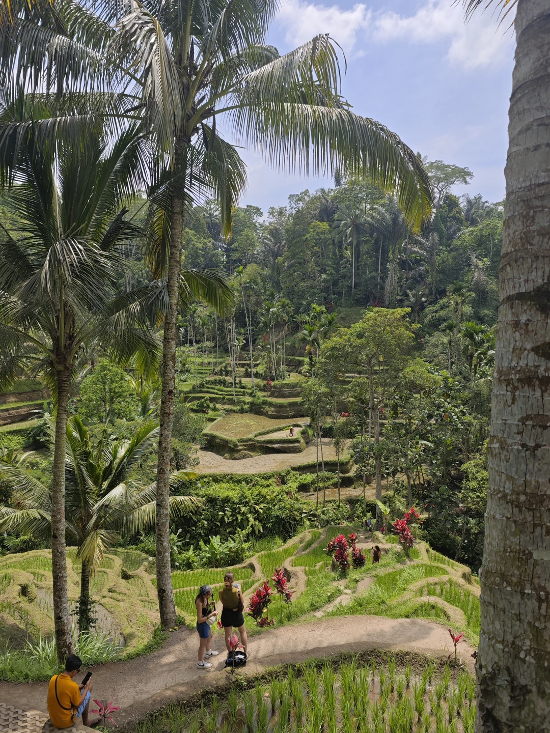 Бали, который вы ждёте (алексей)