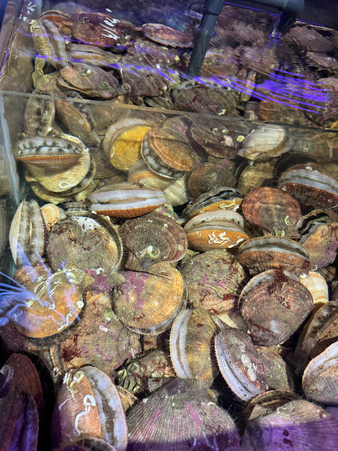 Все понравилось! Гид отличный! Отдохнули супер!