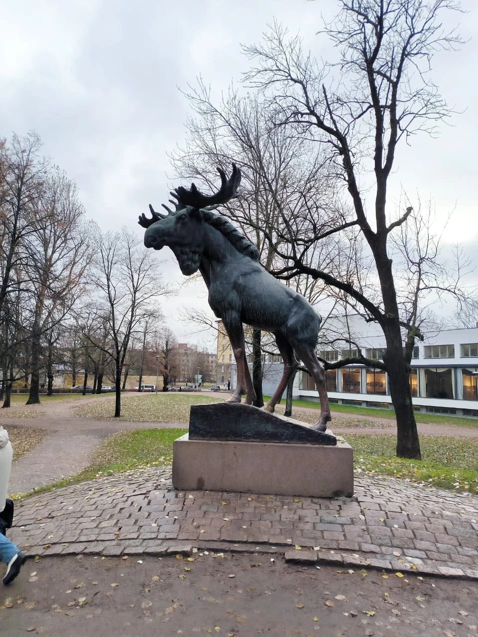 Большая обзорная прогулка по Выборгу