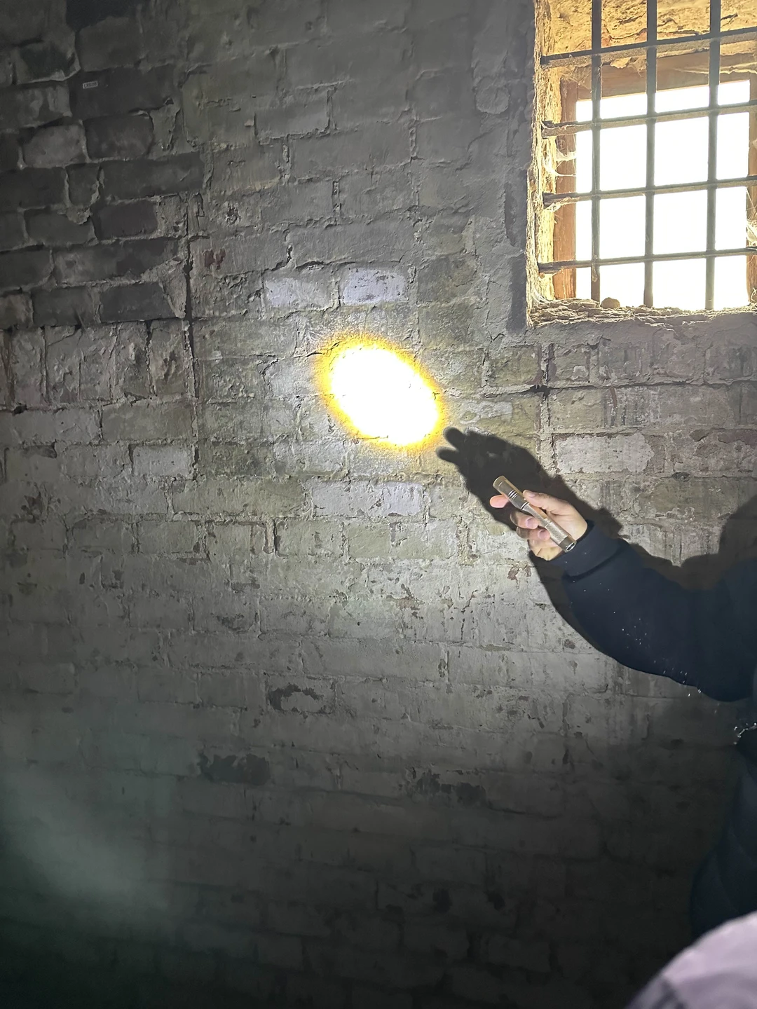 Потрясающая экскурсия, великолепный экскурсовод, который знает, а самое главное любит своё дело!!!