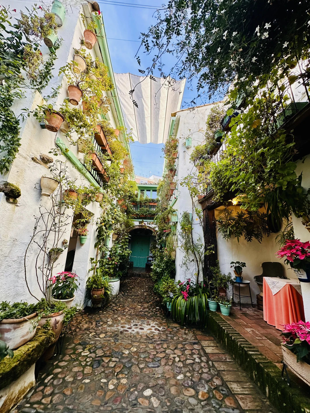 Павел - прекрасный гид, знающий и с юмором, встретил нас в отеле, ответил на млн вопросов