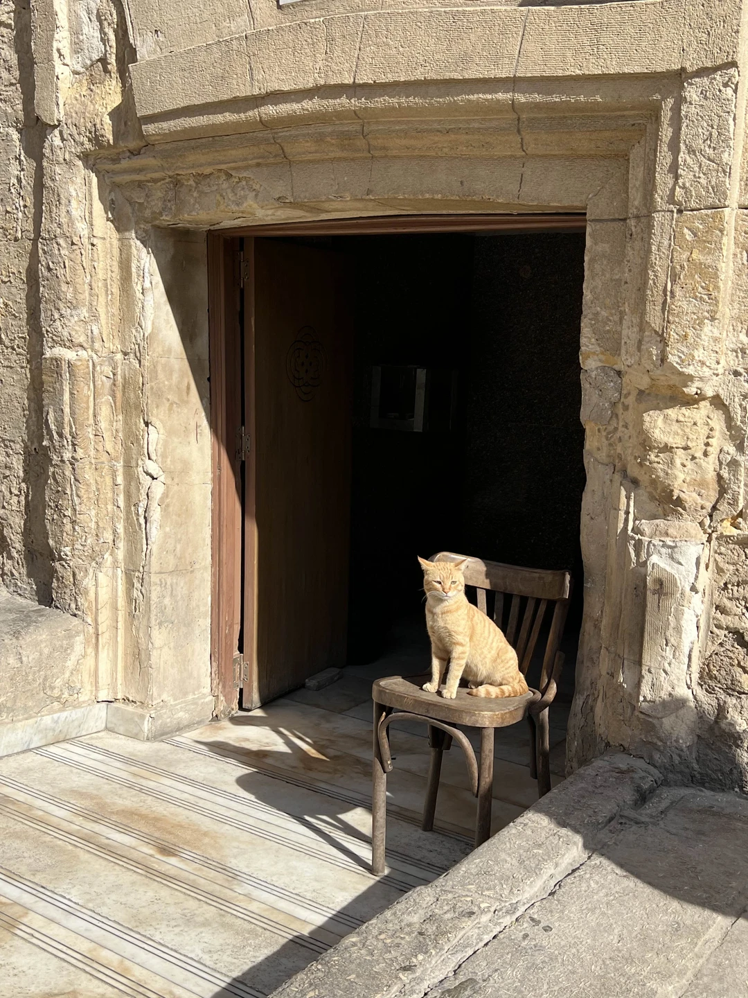 Лучшие места Каира: пирамиды, Сфинкс, Большой Египетский музей (Юлия)