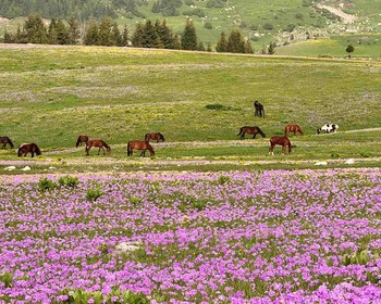 Водопады ущелья Барскоон и сказочные пейзажи