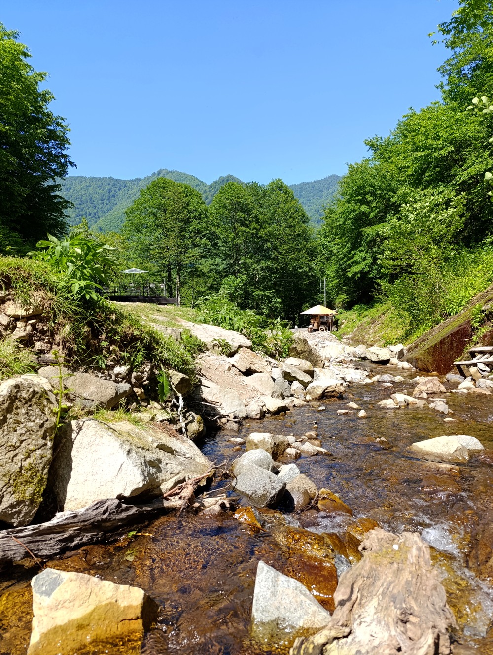 Из Батуми — в горы Аджарии! (7/16)