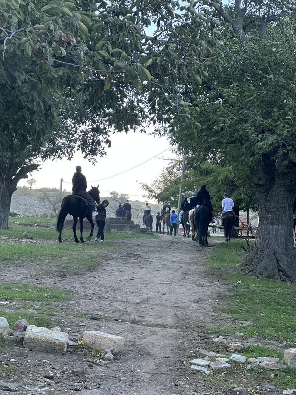 Виды Конная прогулка на плато горы Тарки-Тау