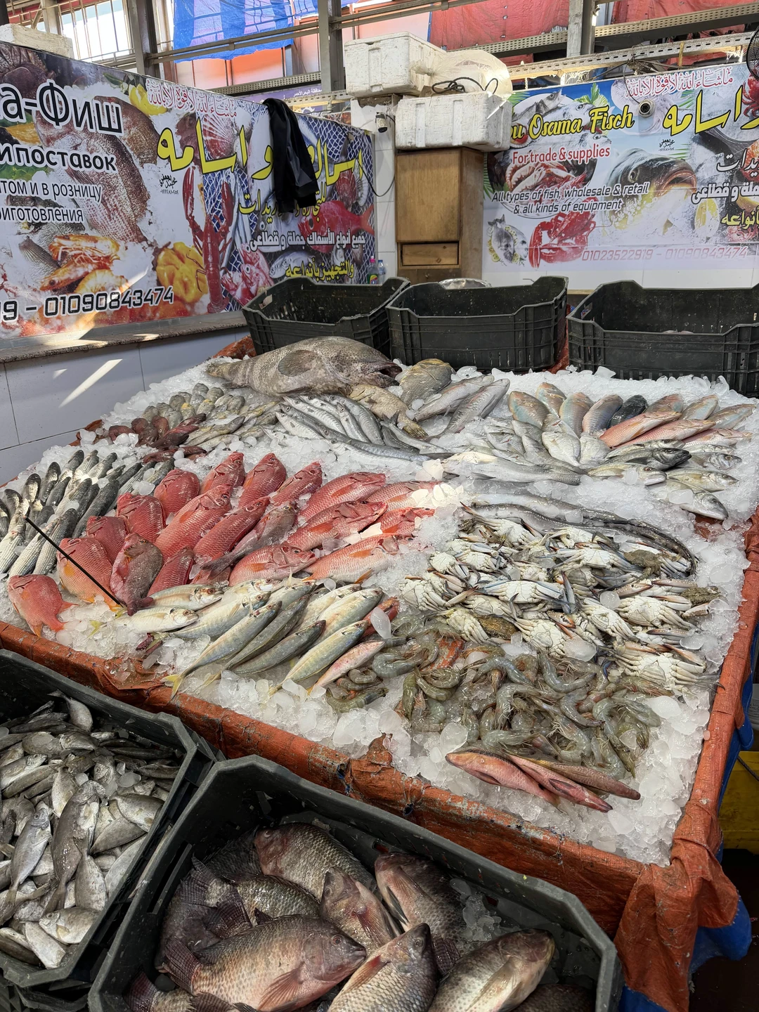 Шикарная экскурсия и прекрасная Екатерина! Много чего рассказала, очень увлечена своей работой и это чувствуется. Ездили