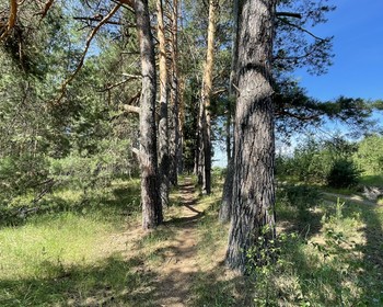 Царский скит, Богородичная тропа, купание в источнике, отъезд