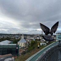 reviews img