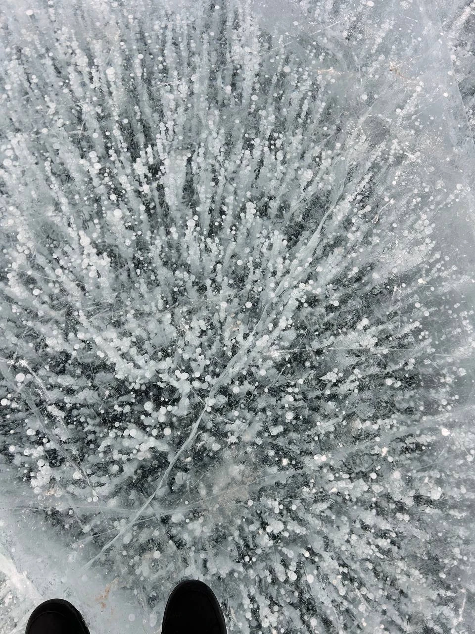 Перед бронированием все подробно узнали, Алина полностью ответила на все вопросы, забронировала для нас экскурсию. С