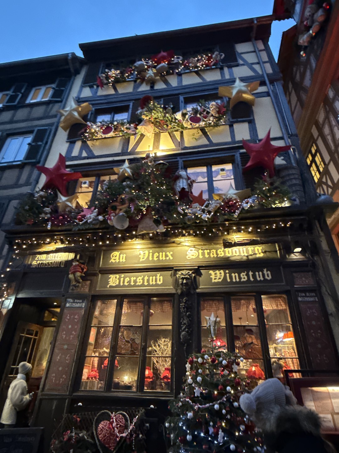 Это действительно было волшебно!!! Увидеть великолепный Страсбург в рождественских огнях глазами влюбленного в него гида -это